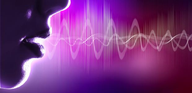Biyometrik Ses Tanıma